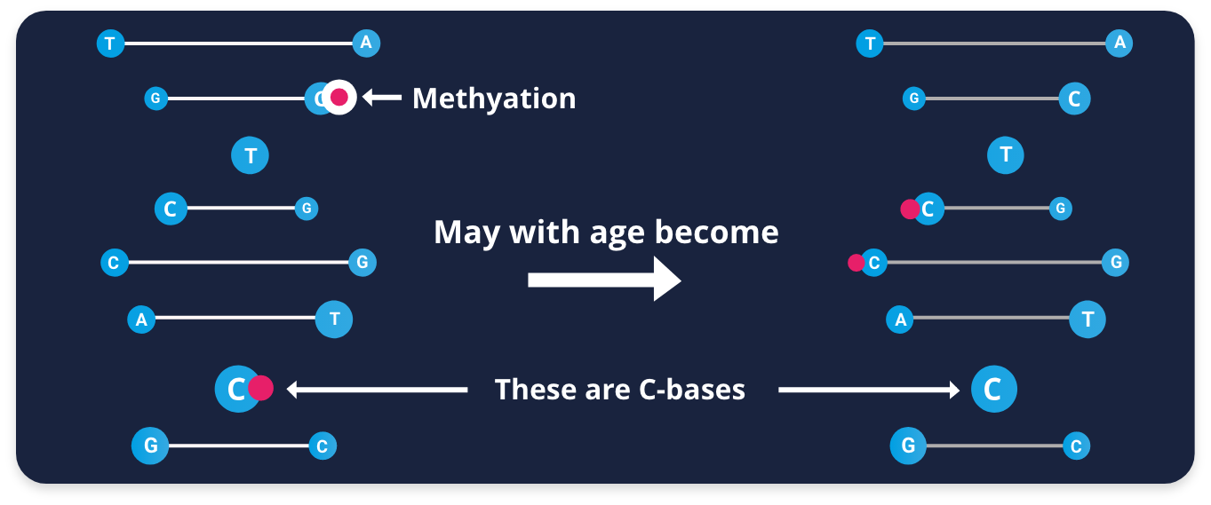 methylation change