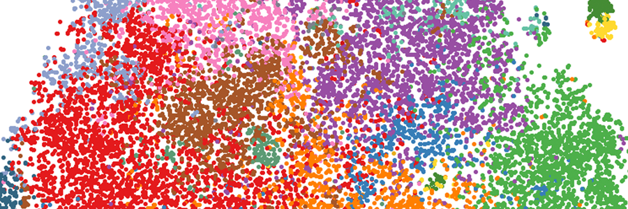 Dissecting the immune characteristics of severe COVID-19 responses