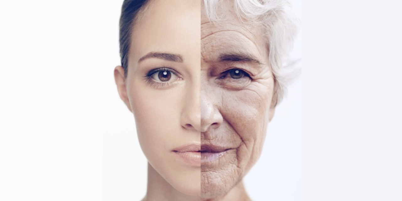 Can we reverse ageing and make our cells young again? | Babraham Institute