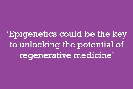 Epigenetics could be the key to unlocking the potential of regenerative medicine