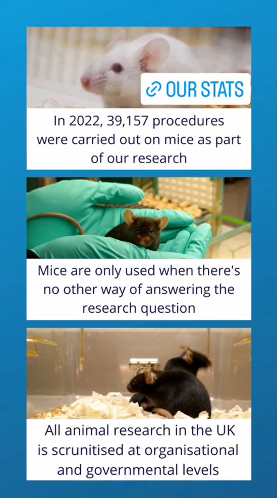 Stats about animal research at the Babraham Institute