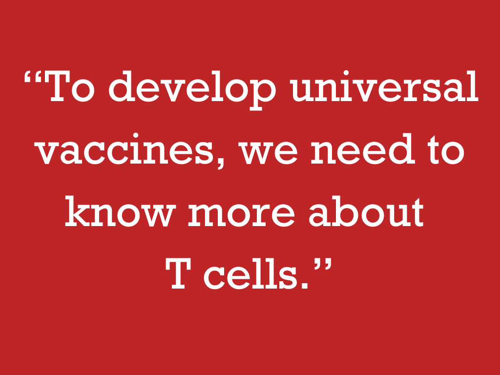 “To develop universal vaccines, we need to know more about T cells.”