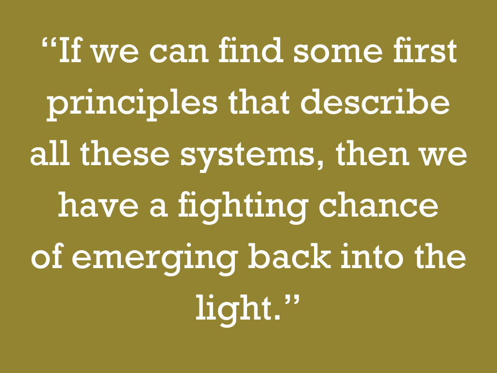 “If we can find some first principles that describe all these systems, then we have a fighting chance of emerging back into the light.”