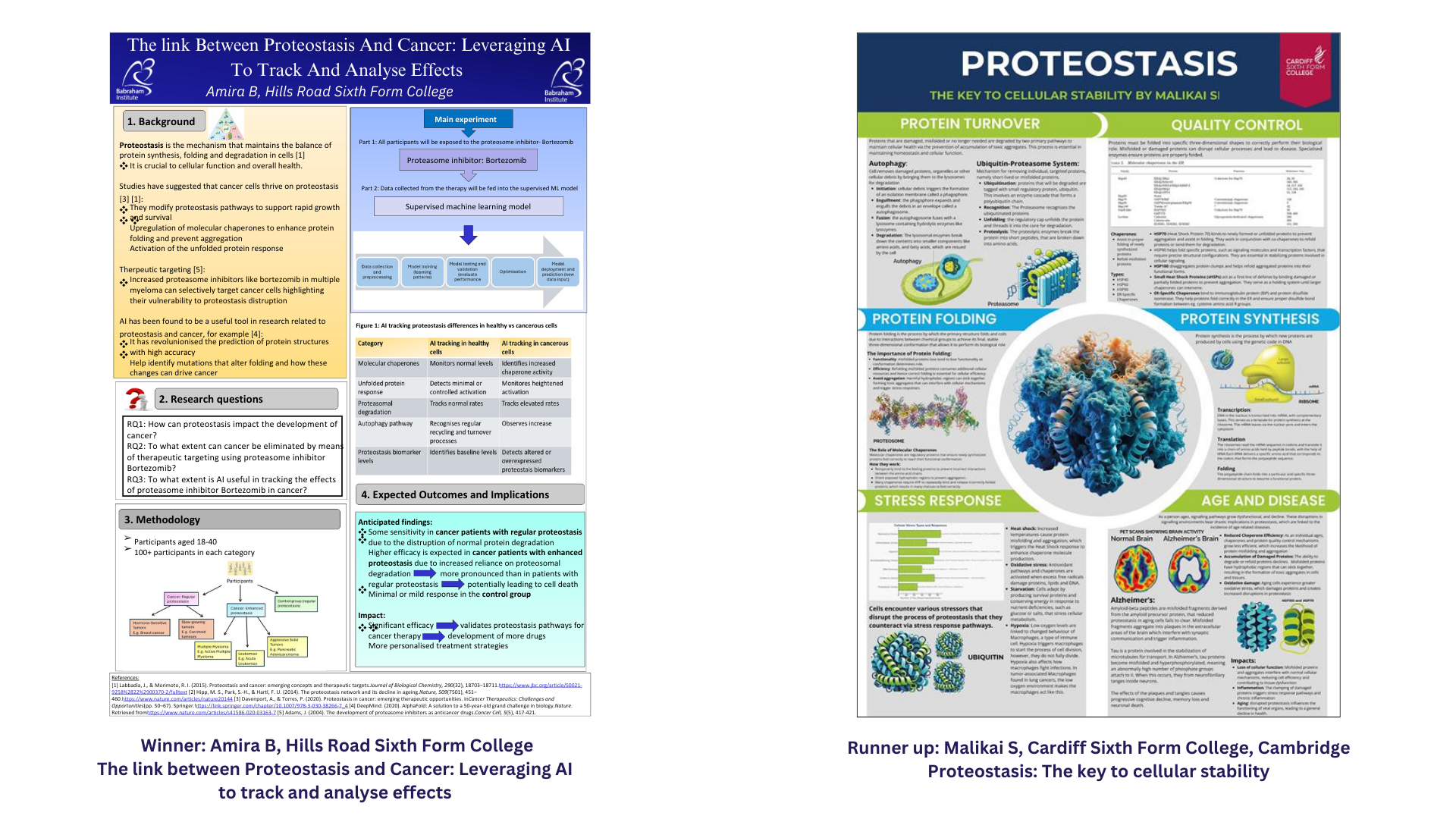 Posters displayed at the 6th form conference