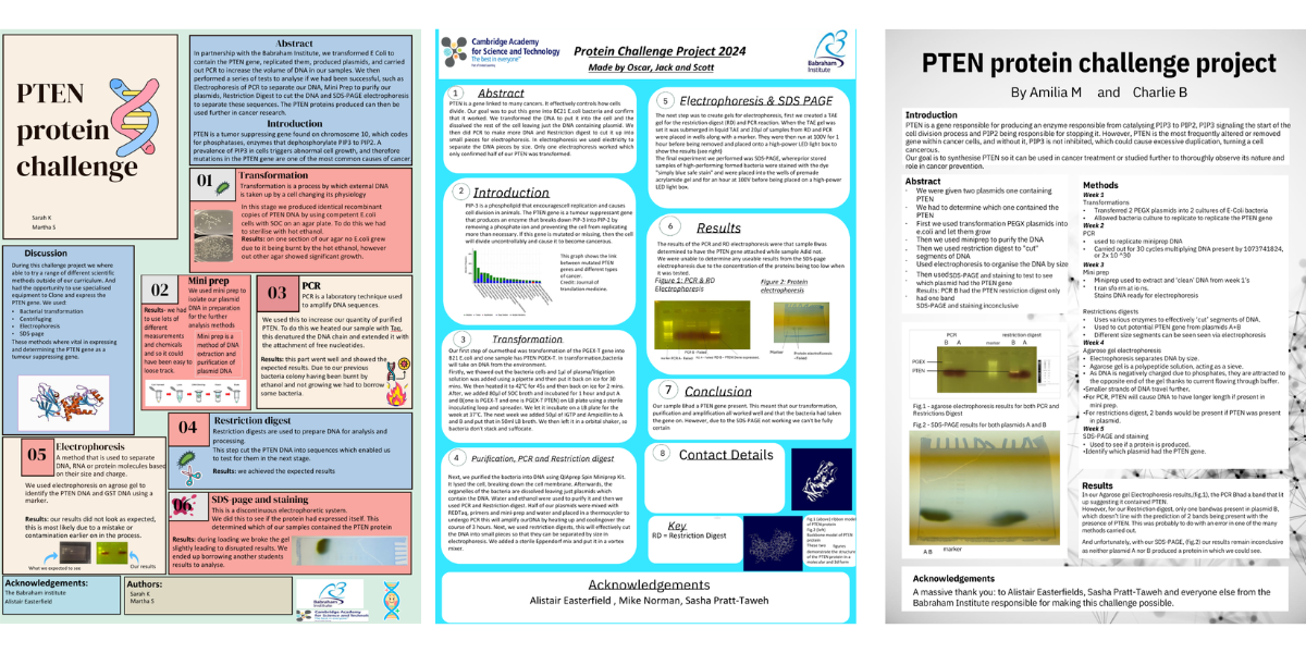 Protein challenge posters