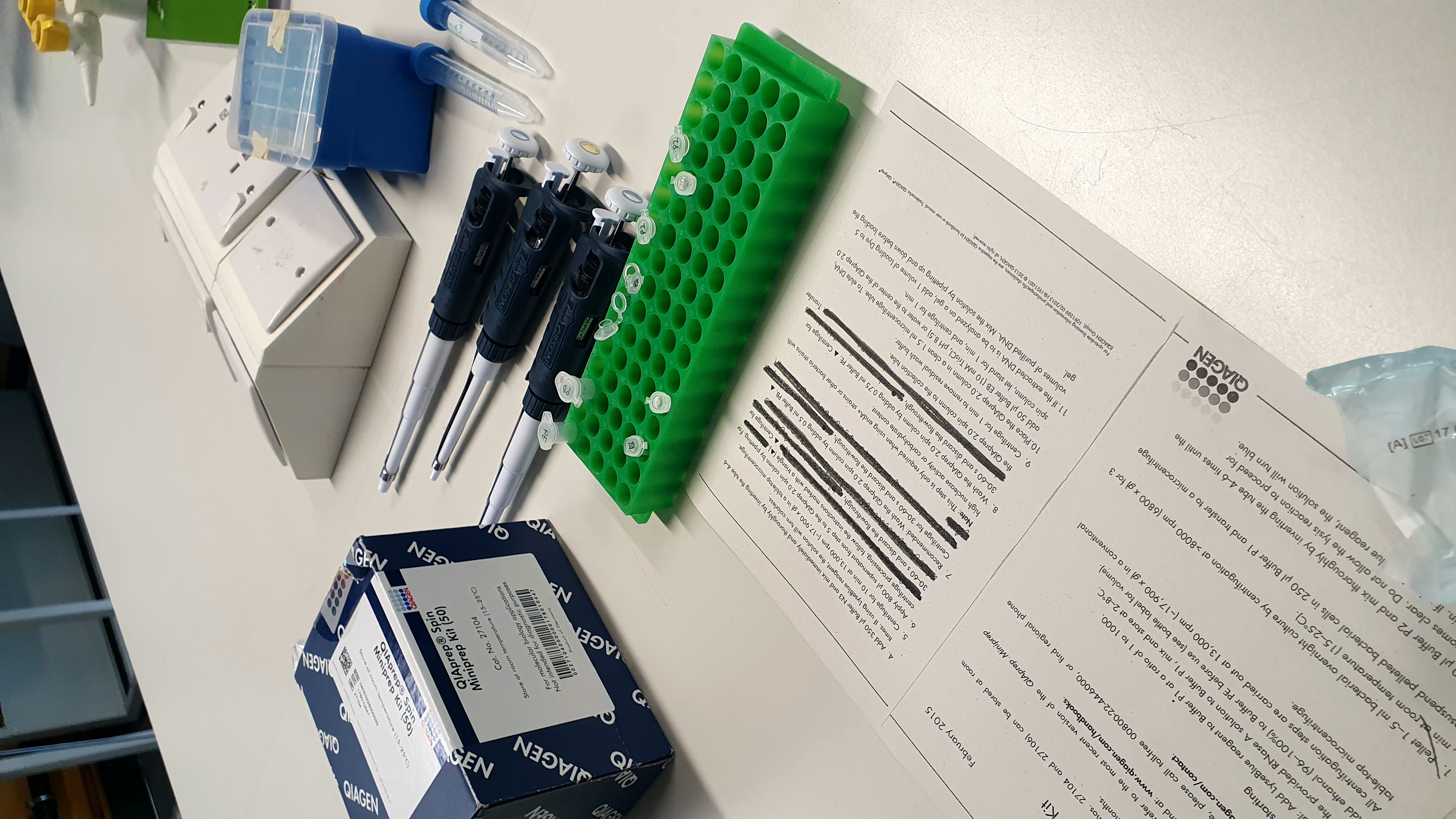 A range of lab equipment labelled miniprep kit is layed out on a whote lab bench beside 4 gilson pipettes and a green plastic block with small tubes in it.