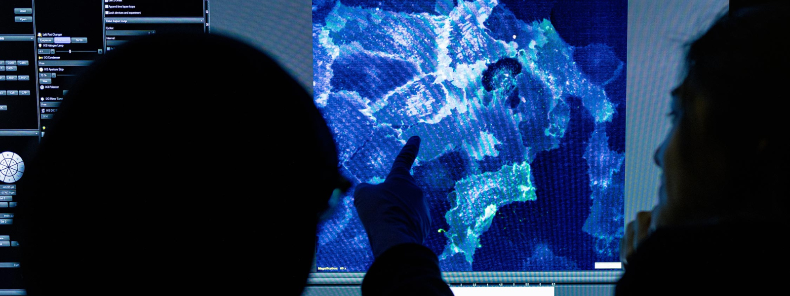 Two people in silhouette look at a biological image on a display screen.