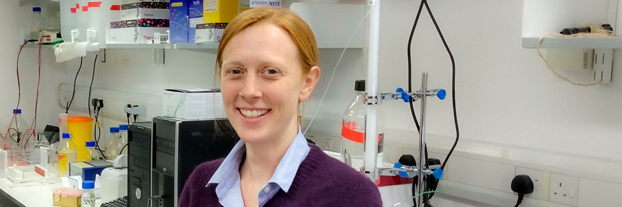 Hayley Sharpe becomes an EMBO Young Investigator