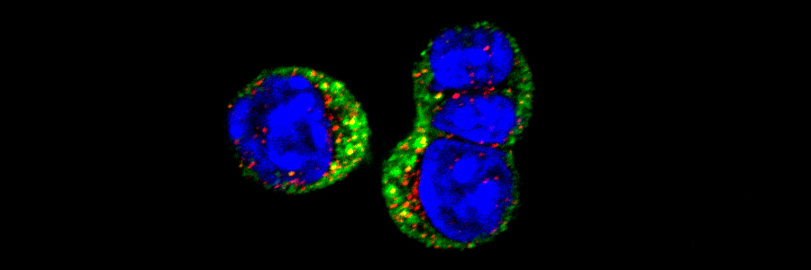 Martin Turner receives Wellcome Trust Investigator Award