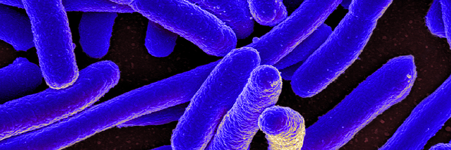 How bacterial toxins could treat autoimmune diseases