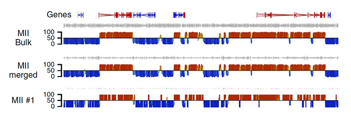 Profiling the DNA methylation landscape