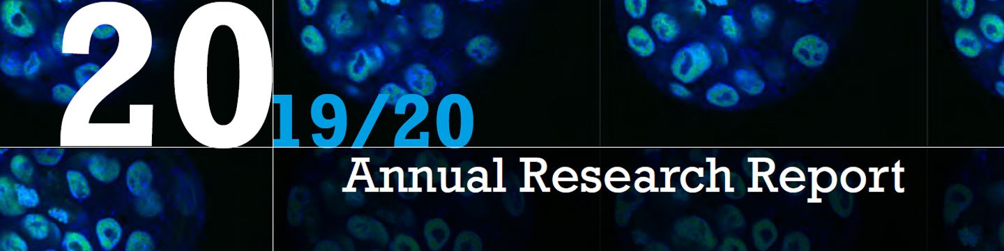 Annual Research Report